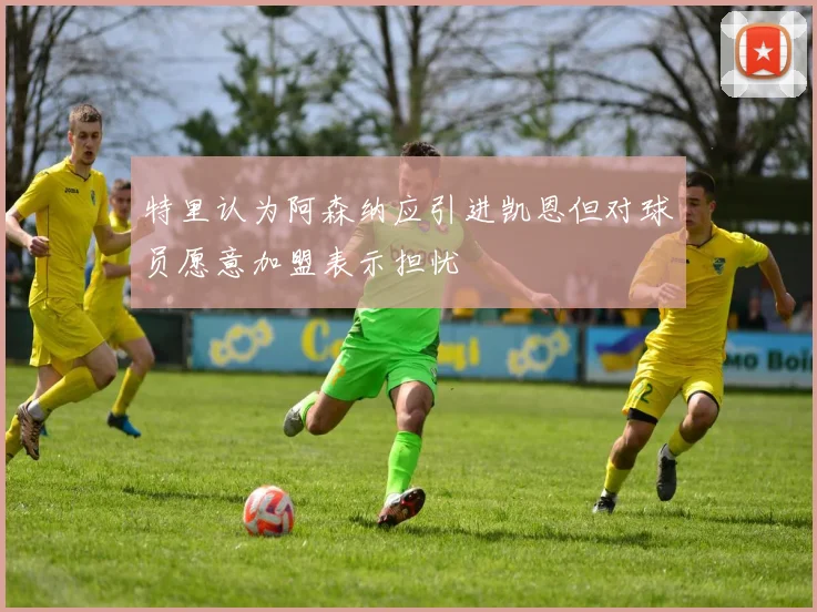 特里认为阿森纳应引进凯恩但对球员愿意加盟表示担忧